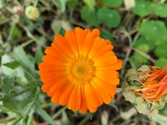 -松赞拉萨林卡酒店