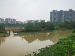 -广东花都湖国家湿地公园