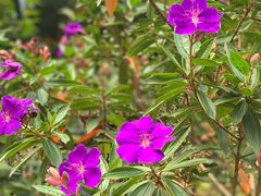 -广州市白云山风景名胜区