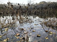 -盘龙城国家考古遗址公园