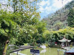 -黔灵山公园