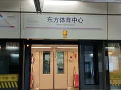 -东方体育中心(地铁站)