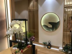 -一本X目奈子日式单根美睫专业店