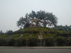 -自贡恐龙博物馆