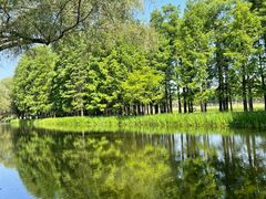 -上海共青森林公园