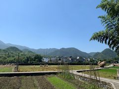 -绩溪龙川景区