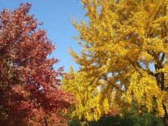 -香山公园-东宫门售票处