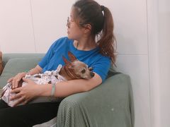 -萌兽医馆·眼科·异宠专科(三里屯店)