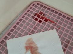 -爱诺耐芙动物医院(万博店)