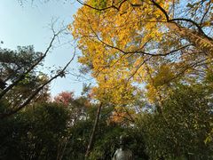 -宝岩生态观光园