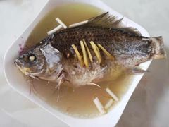 -田螺阿姨自营月嫂·育儿嫂(高新店)