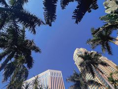 -澳门威尼斯人综合度假区