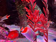 -沈阳海洋探索中心