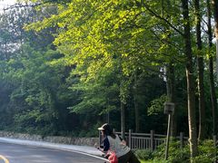-千岛湖天屿景区