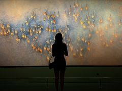 -罗红摄影艺术馆