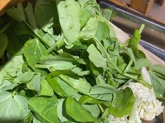 -金鼎雪山牦牛杂火锅(理县总店)