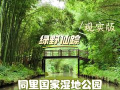 -同里国家湿地公园