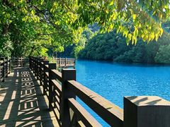 -白马涧龙池景区