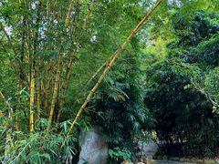 -人民公园(罗湖区)