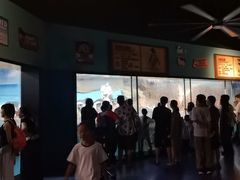 -海合安武汉极地海洋公园