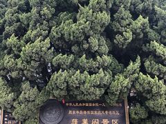 -蓬莱阁景区