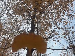 -森林公园(尖草坪区)