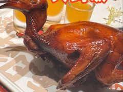 -大鸽饭(动物园店)