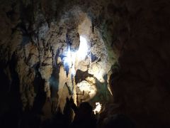 -怀托摩萤火虫洞