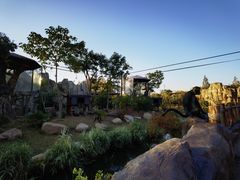 -上海野生动物园