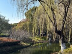 -白塘生态植物园