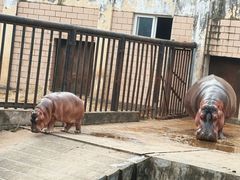 -合肥野生动物园