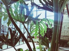 -不正咖啡(万达尊店)