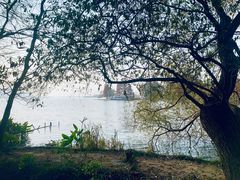 -东湖落雁景区