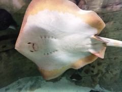 -珠海长隆海洋王国