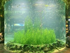-海合安成都极地海洋公园
