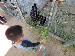 -新地休闲农场