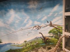 -辽宁古生物博物馆