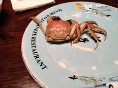 -松子料理(亮马桥店)