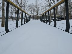 -东郊湿地公园