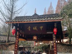 -青城甲(青城山店)