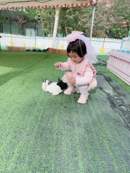 -萌宠亲子动物乐园(槐房万达店)