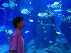 -暹罗海洋世界
