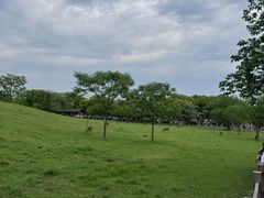 -良渚古城遗址公园