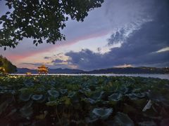 -西湖外事游船(花港观鱼码头)