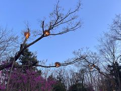 -茅山东方盐湖城景区