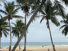 -海南清水湾莱佛士酒店