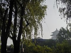 -莲花池公园