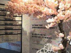 -厦门失恋博物馆(中华城店)