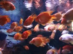 -厦门海底世界