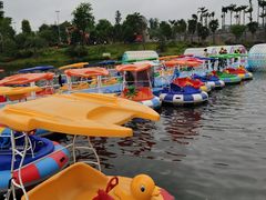 -枫香湖儿童公园